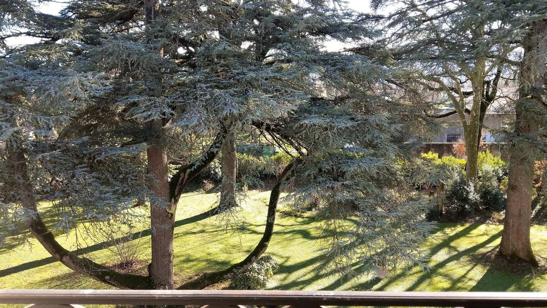 Maison D'Hotes Le Parc Labruguiere Guest house